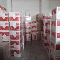 پکیج ایران رادیاتور M28 28000