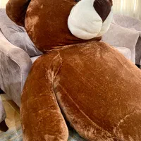 خرس ۳ متری|اسباب‌‌بازی|بابل, |دیوار