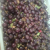 میوه