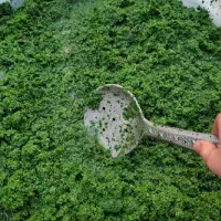 قرمه سبزی روستایی
