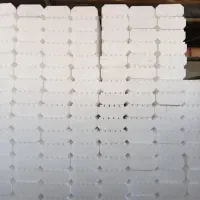 فوم یونولیت