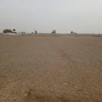 فروش ۵۰۰۰ متر زمین کشاورزی|فروش دفتر صنعتی، کشاورزی، تجاری|اصفهان, گورت|دیوار