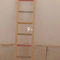 قفس،لونه،نردبان،ملزومات قفس پرنده|لوازم جانبی حیوانات|برخوار, |دیوار