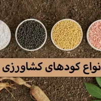 باغبان باغبانی و باغداری اصولی و اقتصادی|خدمات باغبانی و درختکاری|قم, آزادگان|دیوار
