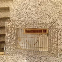 قفس پرنده