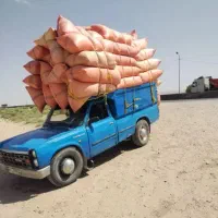 کاه درجه یک کاه کوب یه نیسان آماده