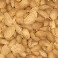 بادام درختی