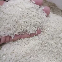 برنج فجر اعلاء فقط 30درصد لاشه داره کیلویی 170ت|خوردنی و آشامیدنی|گنبد کاووس, |دیوار