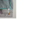 قناری بخون (شلاقی)  مست مست