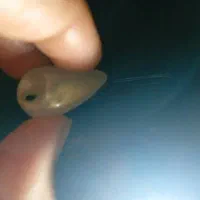 سنگ اپال سفید اصل