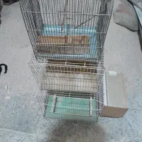 ۳ عدد قفس پرنده به فروش میرسد