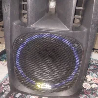 فروش باند اکتیو ۱۲ اینچ  فلش بلوتوث و میکروفون