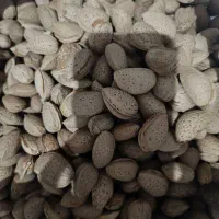 بادام سنگی|خوردنی و آشامیدنی|تهران, شادآباد|دیوار