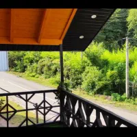 اجاره کلبه تک خواب جنگلی دوهزار تنکابن|اجارهٔ کوتاه‌مدت ویلا و باغ|تنکابن, |دیوار