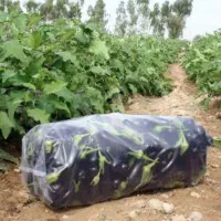 فروش زمین باغی و زراعی