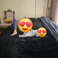 بین بگ