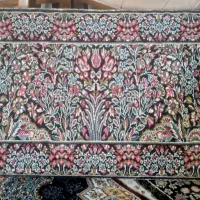 یه جفت پشتی سالم