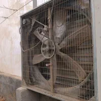 گلخانه صنعتی گالوانیزه در حد نو،طرح گاتیک3060متر|عمدهفروشی|فریمان, |دیوار