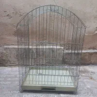 قفس پرنده