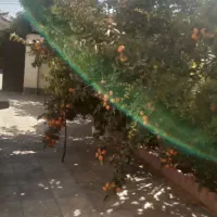 خدمات باغبانی