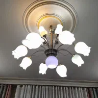 لوستر استیل|لوستر و چراغ آویز|تهران, شهرک فردوس (حسینی)|دیوار