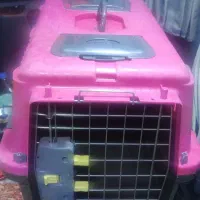 باکس سگ و گربه وخرگوش