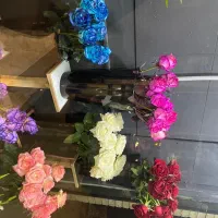 گل رز ویژه افتتاحیه
