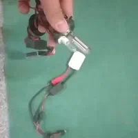 زنون صفر