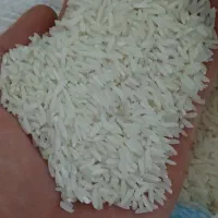 برنج طارم هاشمی