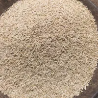 جو،،سویا|لوازم جانبی حیوانات|سریش آباد, |دیوار