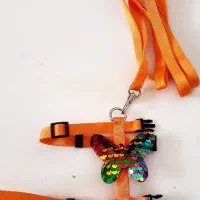 قلاده گربه خوشرنگ