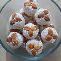 فروش باسلوق خونگی