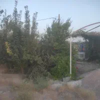 زمین در چترود