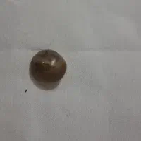 سنگ سلیمانی