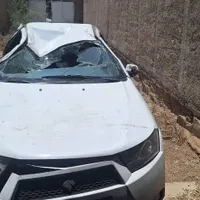 دنا معمولی تیپ ۲، مدل ۱۳۹۶