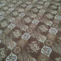 پالازمکت بدون مشکل
