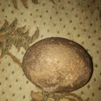 سنگ های تزینی وقیمتی|کلکسیون اشیاء عتیقه|کوهدشت, |دیوار