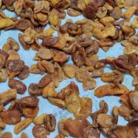 زرد الو افتابی تازه فقط تا4روز