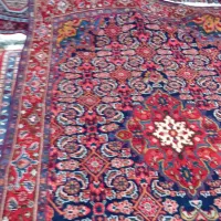 بیجار 280/180زیبا خاص نقشه|فرش|کرج, شهرک سهرابیه|دیوار