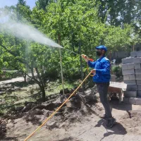 باغبانی درخت کاری سمپاشی کود تیلر در تمام نقاط