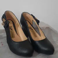 مجلسی سایز۴۰