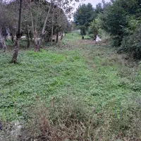 زمین ۳۴۰متر کاملا مسکونی باسند نزدیک شهر|فروش زمین و ملک کلنگی|صومعه‌سرا, |دیوار