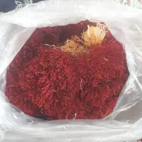 زعفران دسته و سرگل خانگی محصول زیرکوه قائن|خوردنی و آشامیدنی|زیرکوه, |دیوار
