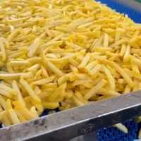 خلال سیب زمینی منجمد صنعتی درجه یک صادراتی|خوردنی و آشامیدنی|تهران, بازار|دیوار
