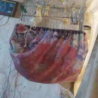 عروس هلندی گمشده