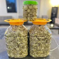 قارچ بلنچ درجه یک