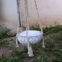 تاب گربه و سگهایی گوگولی