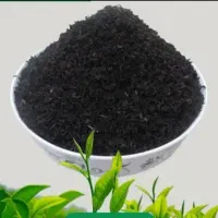 شکسته ممتاز بهاره