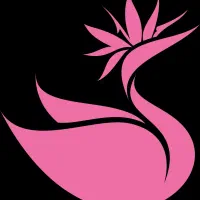 استخدام نیروی فیلمبردار حرفه ای در مجموعه بندیتو