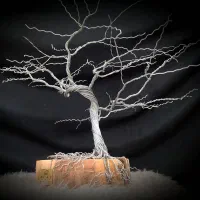 انجام سفارش انواع مجسمه سیمی+ آموزش|مجسمه، تندیس، ماکت|شیراز, اصلاح‌نژاد|دیوار